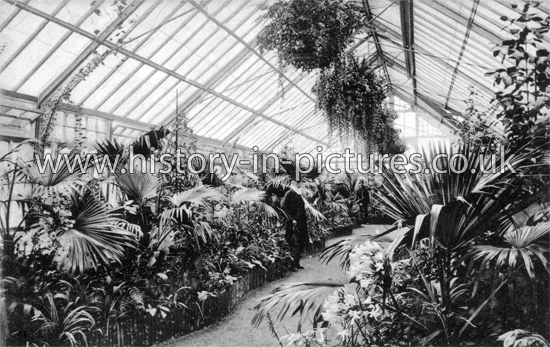 The Conservatory, Finsbury Park, London. c.1904.
